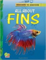 All About Fins